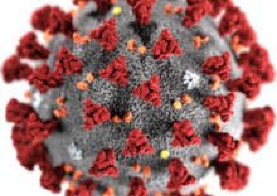 Senato, Disegno di Legge che vuole introdurre l’obbligo della UNI 10801: 2024 - CB Amministrazioni - Amministratori di Condominio a Torino e Milano